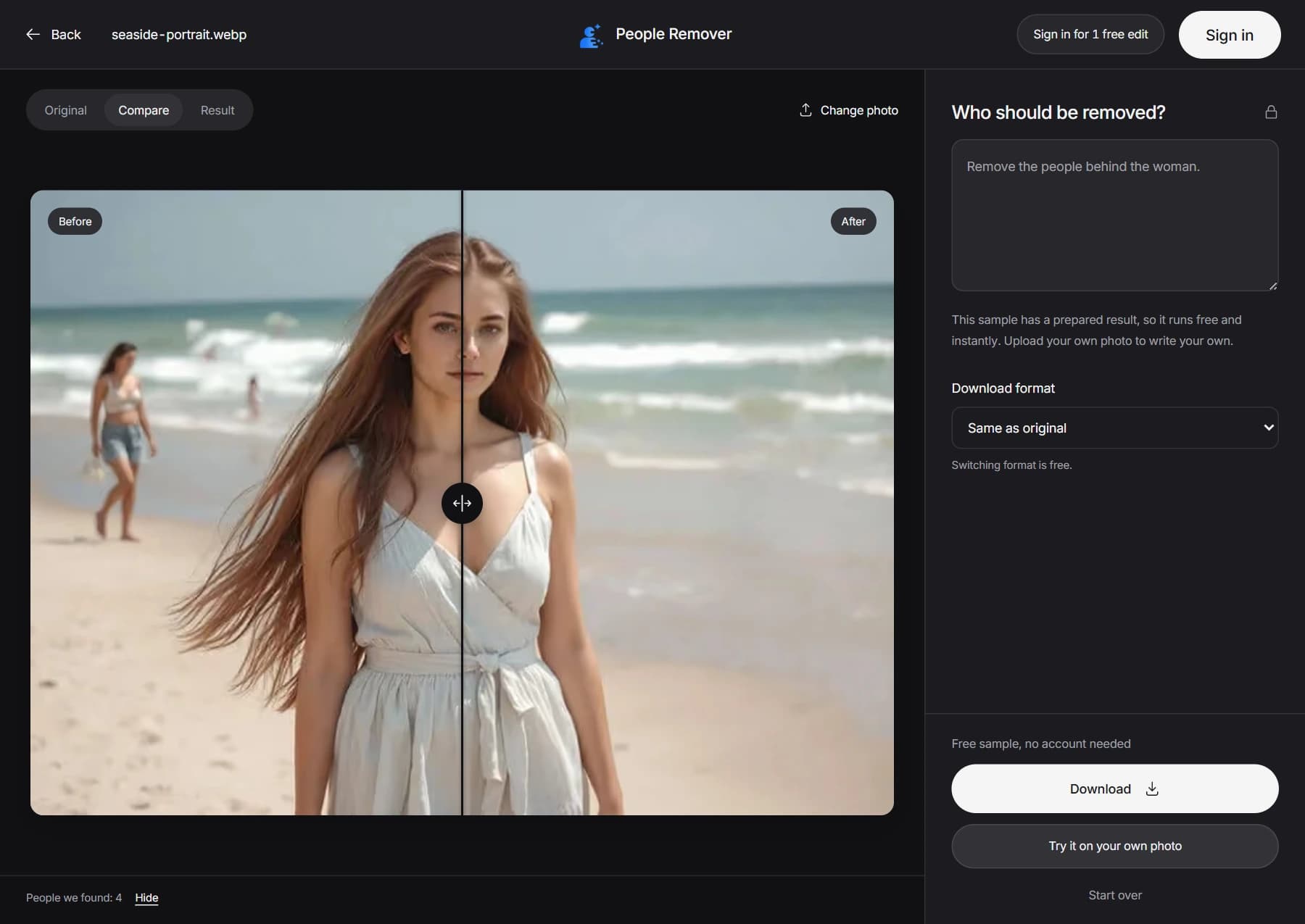 People Remover editor showing the before and after comparison and the Download button.