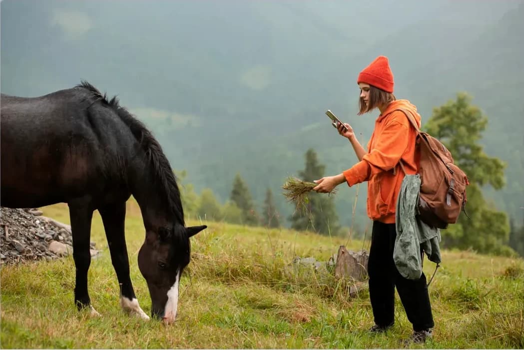 Horse in a meadow, original photo